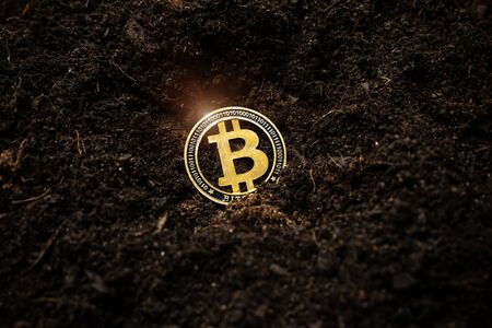 Bitcoin hold concept. Cryptocurrency stored in the ground - saving symbol.