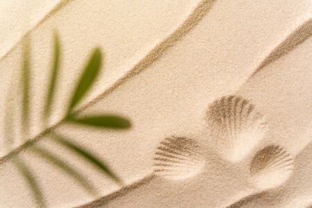 summer beach sand background with mark of shell with blurred Palm, vacation and travel concept, Flat...