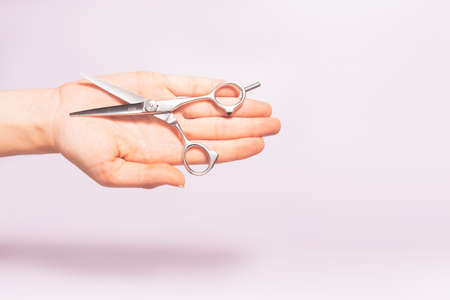 Had holding hairdresser tools scissors under trendy color background with copy space and soft light. Stylish Professional Barber Scissors, Hairdresser salon concept, Haircut accessories.の写真素材