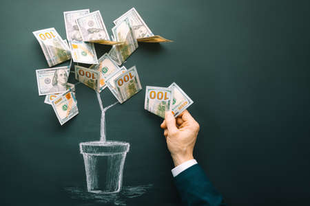 Money tree made by us dollar bills. Business, saving, growth, economic concept. Investors strategy, funding symbol. Copy space.の写真素材