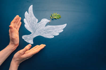 Dove of peace concept. Symbol of freedom and international day of peace. Hands let out chalk painted...