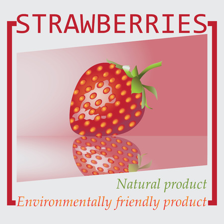 Strawberries. Natural product. An environmentally friendly product. Design for eco-labels.   market, chefs, cooks. Logo, banner, poster, logo. Vector image.のイラスト素材