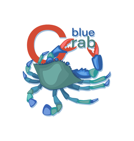 Blue Crab. Sea crab with letters. Seafood. Vector illustration with inscription. Isolated image on white background. Design for menus, cookbooks, posters, banners.のイラスト素材