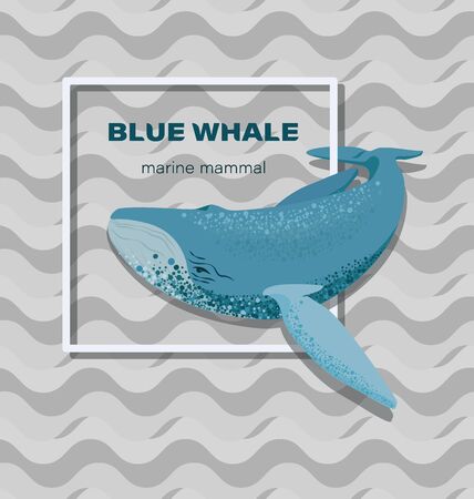 BLUE WHALE. Marine mammal. Eco poster. For a thematic site, a diving club.のイラスト素材