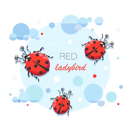 Ladybird. Vector cartoon character. Emblem. Cute red ladybugs on a background of the sky with clouds.のイラスト素材