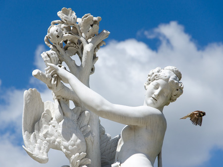 Baroque antique female statue and flying bird in park on a blue sky, Potsdam, Brandenburg, Germanyの写真素材