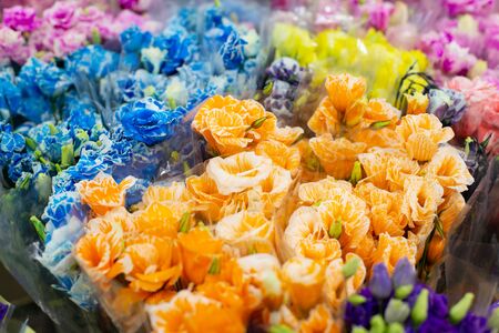 Multi-colored Lisianthus, Eustoma red, orange, blue, pink flowers. Wholesale floristic base, shop with flowers for Valentine's Day on February 14 or International Women's Day on March 8.の写真素材