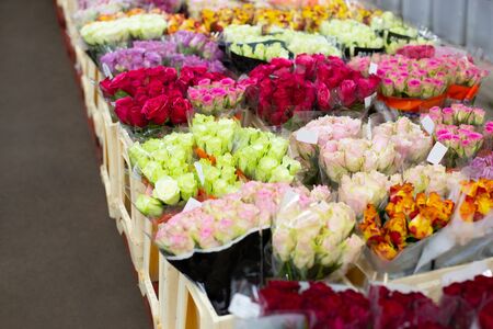 Multi-colored roses red, pink, yellow, white, orange. Wholesale floristic base, shop with flowers for Valentine's Day on February 14 or International Women's Day on March 8.の写真素材