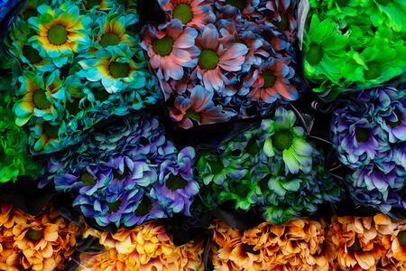 Multi-colored dark blue, green, pink, orange chrysanthemum. Wholesale floristic base, shop with flowers for Valentine's Day on February 14 or International Women's Day on March 8.の写真素材