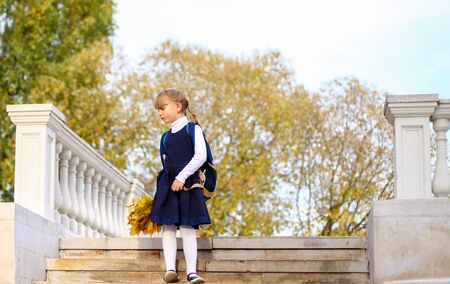 Back to elementary school. Little girl with pigtails in blue uniform with large backpack,bouquet of bright yellow maple leaves rises alone down the stairs.Day of Knowledge,first grade. Autumn concept.の写真素材