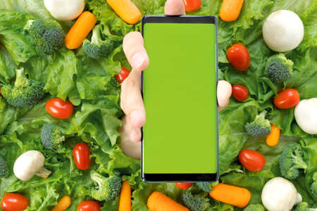 Online order, home delivery of food, groceries from grocery store through mobile application on smart phone. Vegetables, lettuce, carrots, cherry tomatoes, mushrooms. Vegetarian, organic, healthy food.の写真素材