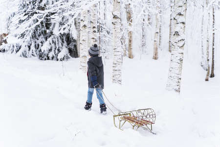 Little beautiful stylish boy riding sled. Winter hat, woolen coat, red scarf, snood. Kid walking, playing in forest, park among fur trees covered with snow. Country house yard. Fashionable image.の写真素材