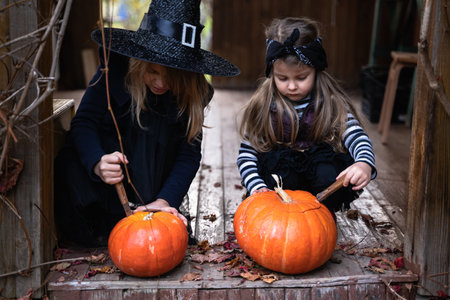 Little girls make jack-o-lantern from big pumpkins for celebratiion of halloween holiday.Witch costume, hat, coat. Cut with knife,take out pulp with seeds.Outdoors activity, backyard.Children's party.の写真素材