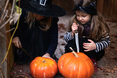 Little girls make jack-o-lantern from big pumpkins for celebratiion of halloween holiday.Witch costume, hat, coat. Cut with knife,take out pulp with seeds.Outdoors activity, backyard.Children's party.の写真素材
