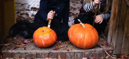 Little girls make jack-o-lantern from big pumpkins for celebratiion of halloween holiday.Witch costume, hat, coat. Cut with knife,take out pulp with seeds.Outdoors activity, backyard.Children's party.の写真素材