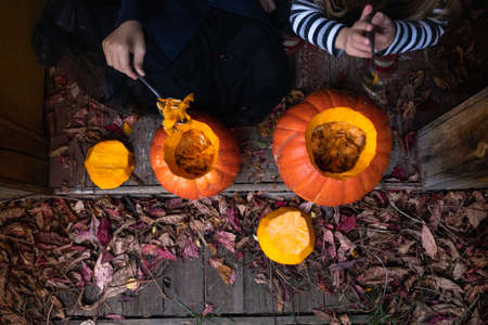 Little girls make jack-o-lantern from big pumpkins for celebratiion of halloween holiday.Witch costume, hat, coat. Cut with knife,take out pulp with seeds.Outdoors activity, backyard.Children's party.の写真素材