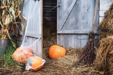 Big,small orange, green pumpkins for halloween, spiderweb, wizard hat, jack-o-lantern with scary carved eyes,mouth.Hay,haystack in barn.Street decoration,entertainment for children, horror.の写真素材