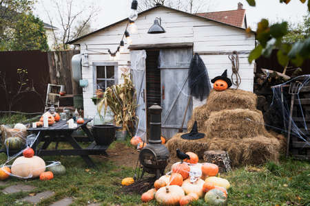 Bunch of orange pumpkins for halloween, big white skull, black raven, wizard hat, jack-o-lantern with scary carved eyes,mouth.Hay,haystack in barn.Street decoration,entertainment for children, horror.の写真素材