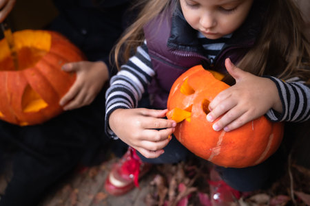 Little girls make jack-o-lantern from big pumpkins for celebratiion of halloween holiday.Witch costume, hat, coat. Cut with knife,take out pulp with seeds.Outdoors activity, backyard.Children's party.の写真素材