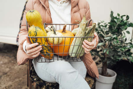 Woman with basket of autumn vegetables. Harvest in garden, farm. Ripe orange pumpkins, squash, ear of corn, zucchini. Healthy organic vegetarian food.の写真素材