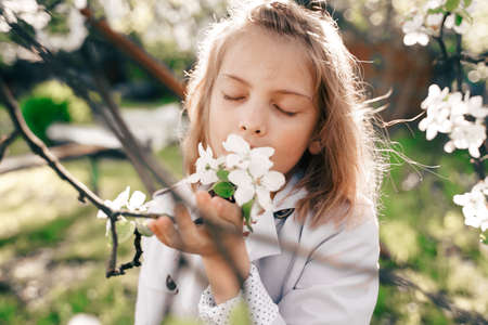 Little girl is walking in spring garden with apple trees and white flowers. Romantic stylish spring...