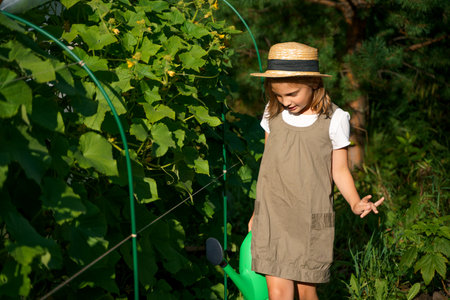 Farmer girl in summer straw hat. Little vegetables gardener farming in garden. Big green watering can water fresh cucumbers seedlings. Harvest help work. Cultivation healthy organic food, countryside.の写真素材