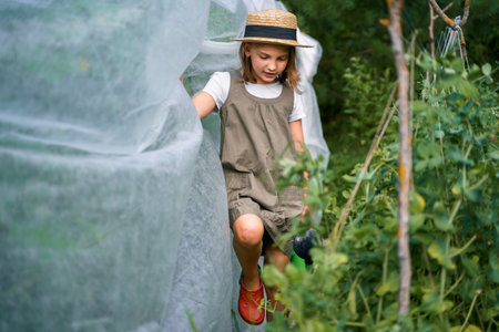 Farmer girl in summer straw hat. Little vegetables gardener farming in garden. Big green watering can water fresh cucumbers seedlings. Harvest help work. Cultivation healthy organic food, countryside.の写真素材