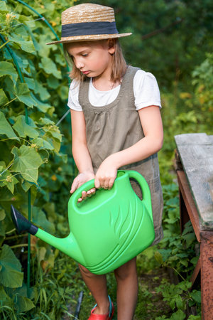 Farmer girl in summer straw hat. Little vegetables gardener farming in garden. Big green watering can water fresh cucumbers seedlings. Harvest help work. Cultivation healthy organic food, countryside.の写真素材