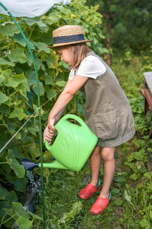 Farmer girl in summer straw hat. Little vegetables gardener farming in garden. Big green watering can water fresh cucumbers seedlings. Harvest help work. Cultivation healthy organic food, countryside.の写真素材