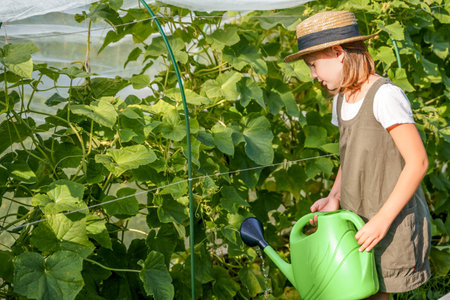 Farmer girl in summer straw hat. Little vegetables gardener farming in garden. Big green watering can water fresh cucumbers seedlings. Harvest help work. Cultivation healthy organic food, countryside.の写真素材