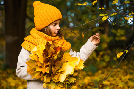 Beautiful little girl in bright yellow orange autumn warm knitted hat and scarf snood with bouquet of maple leaves,foliage walking in forest. Fun playing in the park. Outdoor family activity in nature.の写真素材