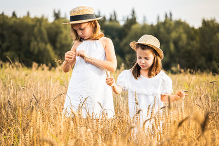 Happy girls walks in beautiful wheat field, embracing summer's yellow sun, nature freedom outdoors. White dress, straw hat, surrounded by rye, barley.Autumn harvest time rural scene.Own piece of land.の写真素材