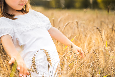 Happy girl walks in beautiful wheat field, embracing summer's yellow sun, nature freedom outdoors. White dress, straw hat, surrounded by rye, barley. Autumn harvest time rural scene.Own piece of land.の写真素材