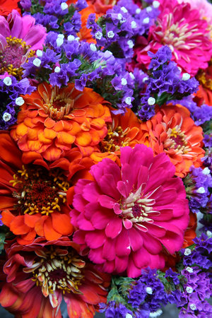 Flowersの写真素材