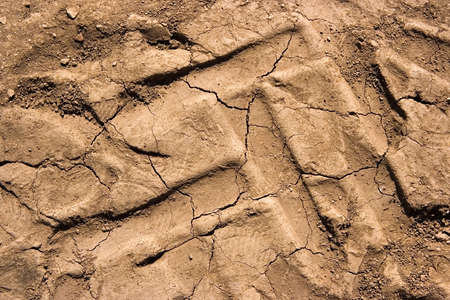 Tracesの写真素材