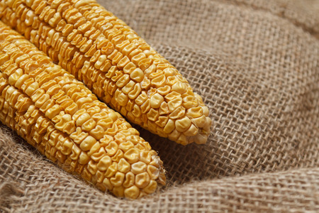 Old corn