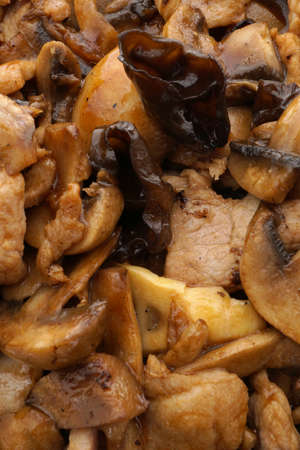 Chinese food. Pork with black and white mushrooms and bamboo shoots. Closeup.の写真素材
