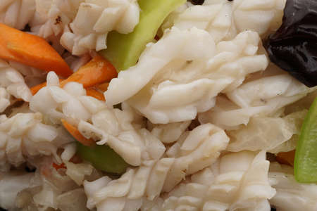 Chinese food. Calamari terrine with vegetables. Closeup.の写真素材