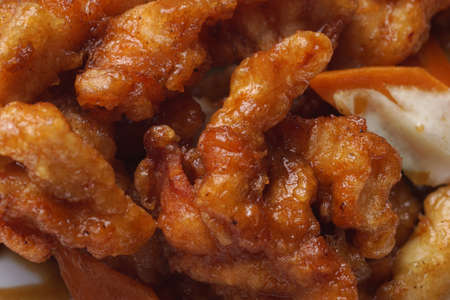 Chinese food. Stir fried Chichen in soya sauce and vegetables. Closeup.の写真素材