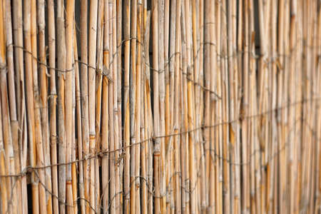 Fence from cane with light from behind, closeupの写真素材