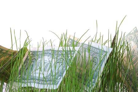 An image of dollars in the grassの写真素材