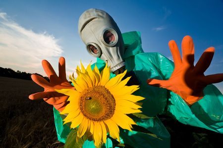 An image of man in a respirator on sunflower fieldの写真素材