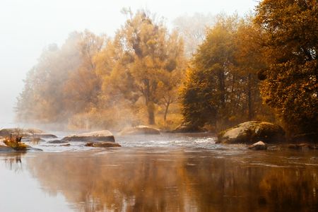 Autumn scene. Orange trees near tranquil river.の写真素材