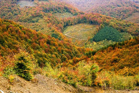 An image of multicoloured nice autumn mountainsの写真素材
