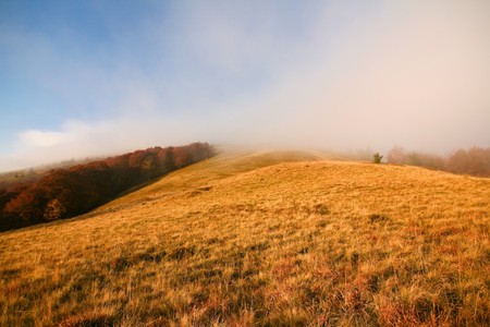 An image of a misty yellow autumn fieldの写真素材