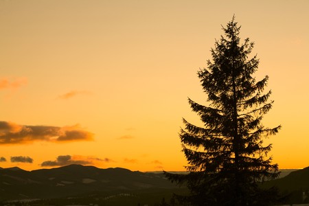 An image of sunset in winter mountains and a silhouette of furtreeの写真素材