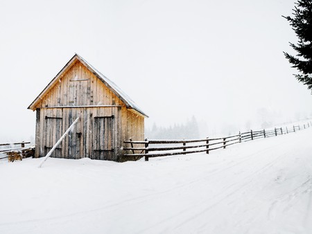 Stock photo: an image of a house in a winter woodの写真素材
