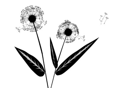 Stock photo: nature: an image of silhouette of dandelionのイラスト素材