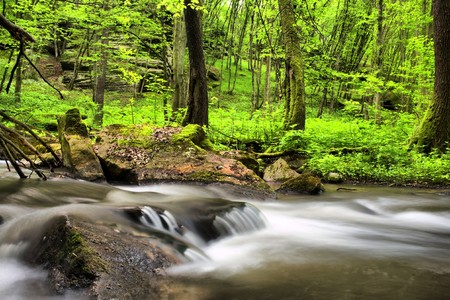 Stock photo: an image of a stream in the green wood