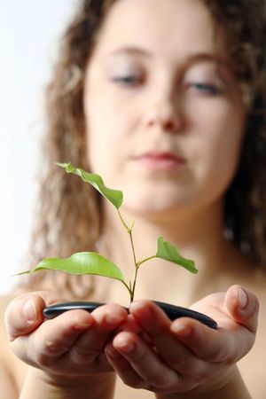 An image of a woman looking at plant and stones in her handsの写真素材